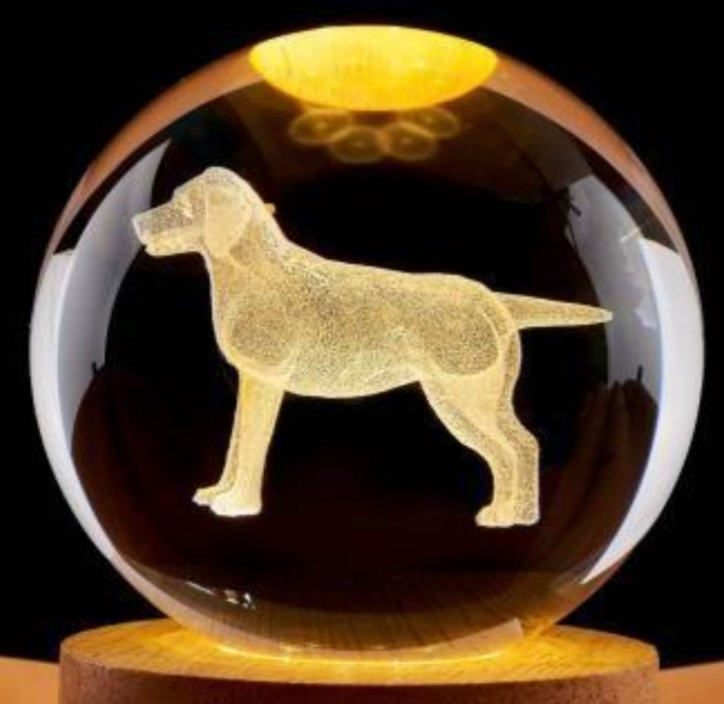Dog-3D Crystal Ball Night Light - LED Light Hologram Glass Lamp w/Solid Wood Base