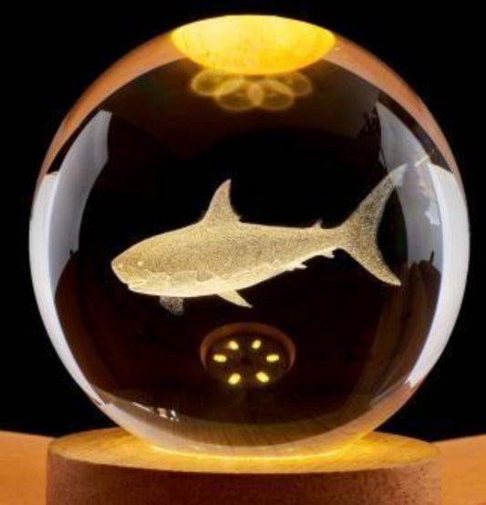 Shark Crystal Ball Night 3D Light Decor Ideal Sharks Gifts for Friends Kids Christmas Birthday